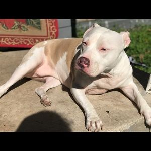 Meet your Posher, Jaime